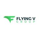 Flying V Group Digital Marketing logo