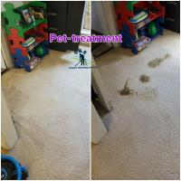 R&R Carpet Cleaning services  image 11