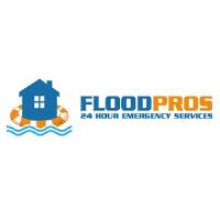 Flood Pros USA image 1