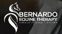 BERNARDO EQUINE THERAPY logo