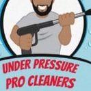 Under Pressure Pro Cleaners image 1