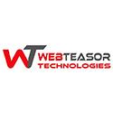 Webteasor Technologies image 1