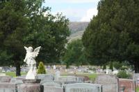 Mount Olivet Catholic Cemetery image 12