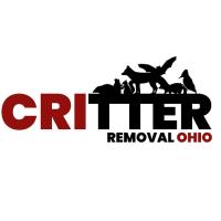 Critter Removal Ohio image 1
