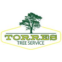 Torres Tree Service and Landscaping image 1