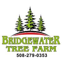 Bridgewater Tree Farm Inc. image 1