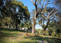 Memorial Plan at Miami Memorial Park Cemetery image 3