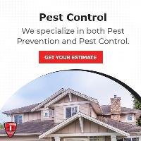 Beacon Pest Services image 2