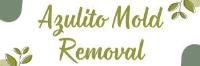 Azulito Mold Removal image 2