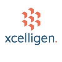 Xcelligen Inc image 1