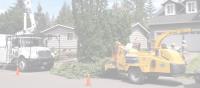 Evergreen Tree Services image 2