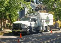 Evergreen Tree Services image 4