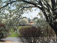Polk Memorial Gardens image 11