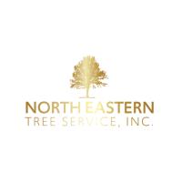 Northeastern Tree Service, Inc image 1
