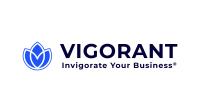 Vigorant, Inc. image 1