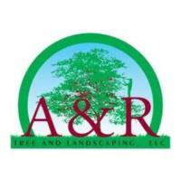 A&R Tree and Landscaping LLC image 1