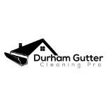 Durham Gutter Cleaning Pro image 1