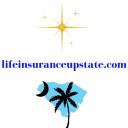 Life Insurance Upstate logo