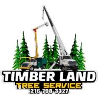 Timberland Tree Services image 4