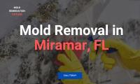 Mold Remediation Hotline Miramar FL image 4
