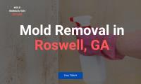 Mold Remediation Hotline Roswell GA image 2