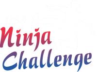 USA Ninja Challenge image 1