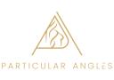 Particular Angles logo