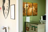Bell Veterinary Clinic image 1