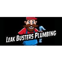 LeakBusters Plumbing Pahrump NV image 1