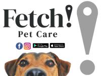 Fetch! Pet Care Dallas, TX image 6