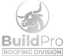 BuildPro Roofing logo