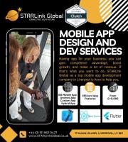Starlink Global  Web, App, & Marketing Services image 3
