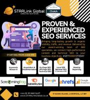 Starlink Global  Web, App, & Marketing Services image 2