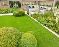 San Marcos Landscaping, Tree & Lawn image 3