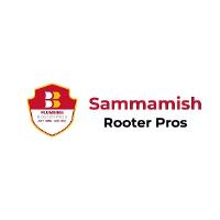 Sammamish Plumbing, Drain and Rooter Pros image 1