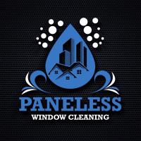 Paneless Window Cleaning image 5