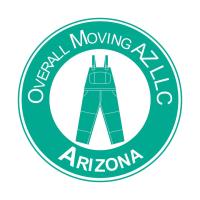 Overall Moving image 1