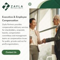 Zayla Partners image 2