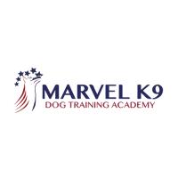 Marvel K9 Dog Training Academy  image 5