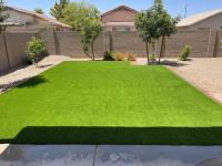 Tampa Turf Solutions image 3