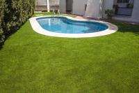 Tampa Turf Solutions image 5