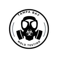 Tampa Bay Mold Testing image 3