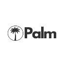 Palm Window Cleaning logo