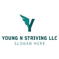 Young N Striving LLC image 2