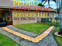 Pedro Landscaping Services image 5