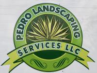 Pedro Landscaping Services image 1