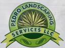 Pedro Landscaping Services logo