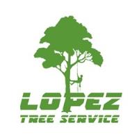 Lopez Tree Service image 1