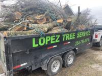 Lopez Tree Service image 5