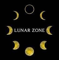 Lunar Zone Property Management image 1